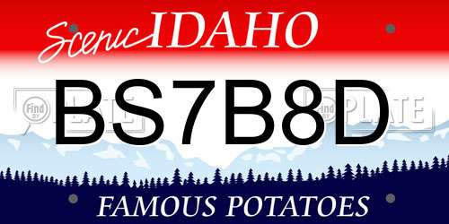 BS7B8D Idaho License Plate