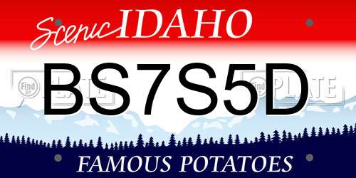 BS7S5D Idaho License Plate