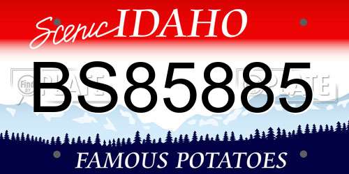 BS85885 Idaho License Plate