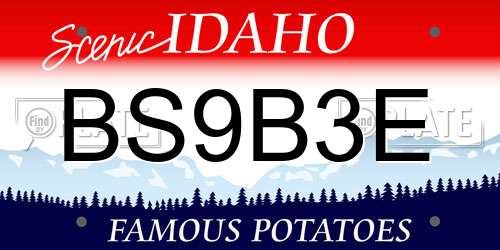 BS9B3E Idaho License Plate