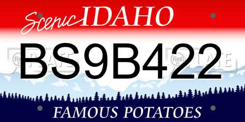 BS9B422 Idaho License Plate