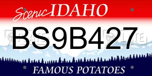 BS9B427 Idaho License Plate