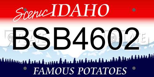 BSB4602 Idaho License Plate