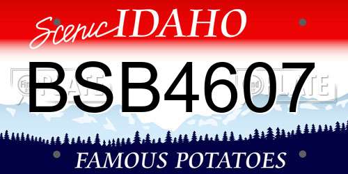BSB4607 Idaho License Plate