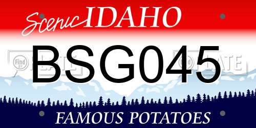 BSG045 Idaho License Plate
