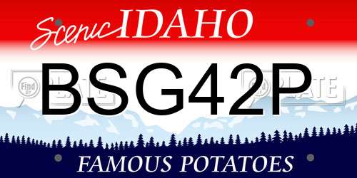 BSG42P Idaho License Plate