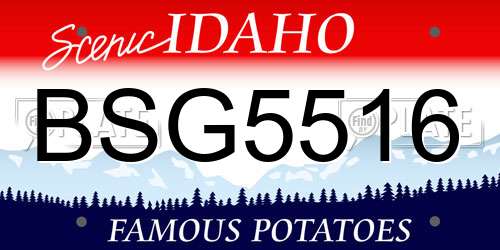 BSG5516 Idaho License Plate