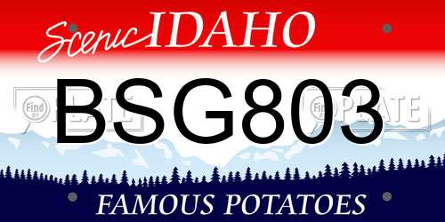 BSG803 Idaho License Plate