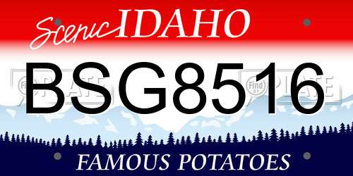 BSG8516 Idaho License Plate