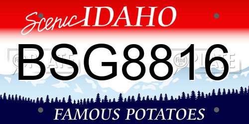 BSG8816 Idaho License Plate