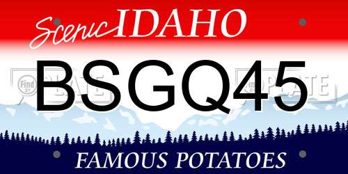 BSGQ45 Idaho License Plate