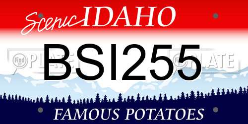 BSI255 Idaho License Plate