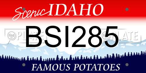 BSI285 Idaho License Plate