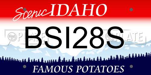BSI28S Idaho License Plate