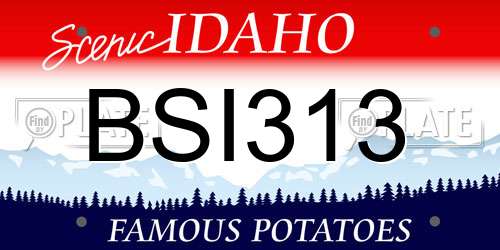 BSI313 Idaho License Plate