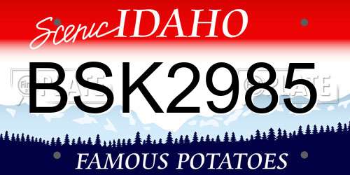 BSK2985 Idaho License Plate
