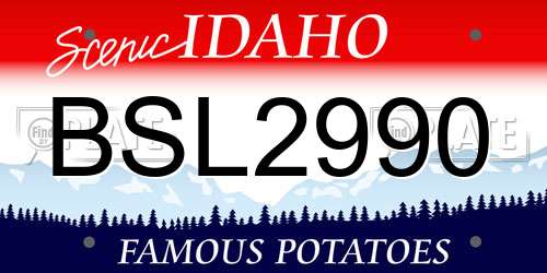 BSL2990 Idaho License Plate