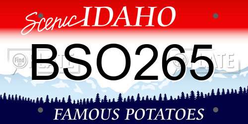 BSO265 Idaho License Plate