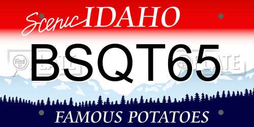 BSQT65 Idaho License Plate
