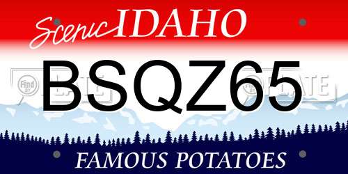 BSQZ65 Idaho License Plate
