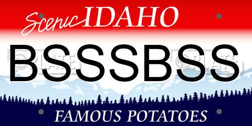 BSSSBSS Idaho License Plate