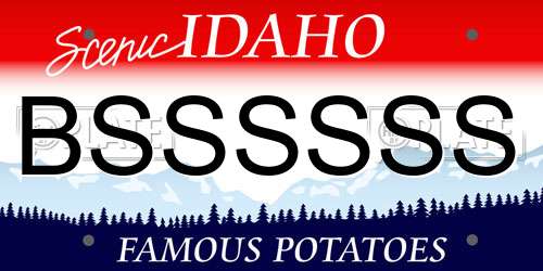 BSSSSSS Idaho License Plate
