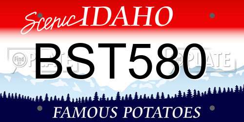 BST580 Idaho License Plate