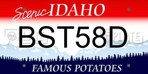 BST58D Idaho License Plate