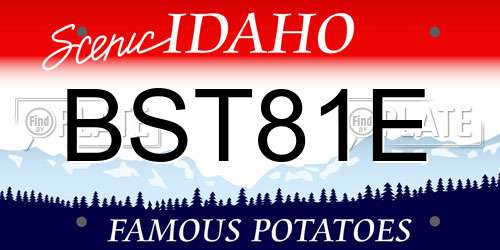BST81E Idaho License Plate