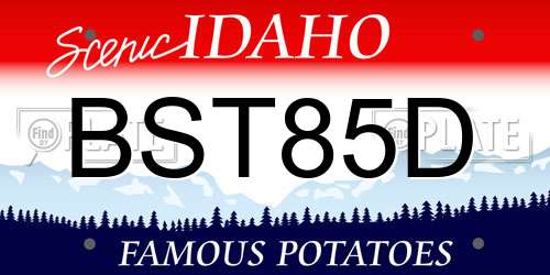 BST85D Idaho License Plate