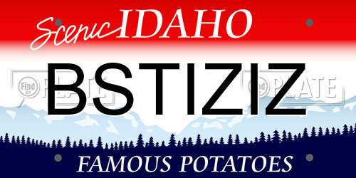 BSTIZIZ Idaho License Plate