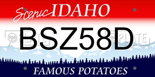 BSZ58D Idaho License Plate