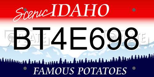 BT4E698 Idaho License Plate
