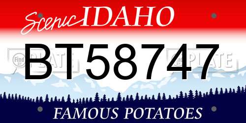 BT58747 Idaho License Plate