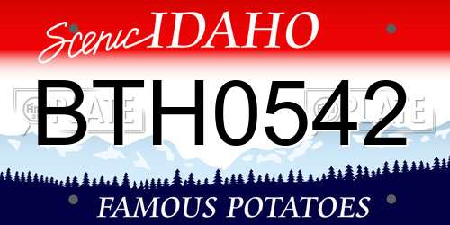 BTH0542 Idaho License Plate