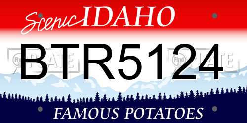 BTR5124 Idaho License Plate