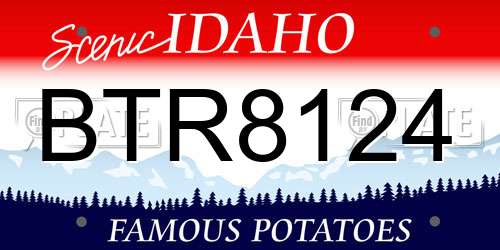 BTR8124 Idaho License Plate