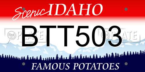 BTT503 Idaho License Plate