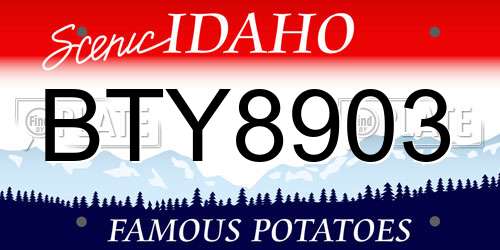 BTY8903 Idaho License Plate