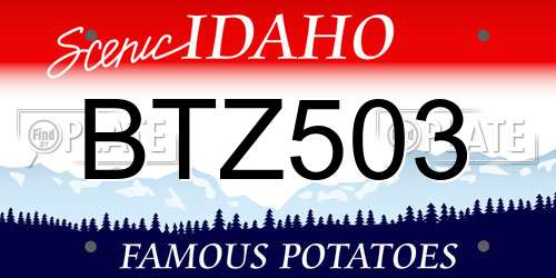 BTZ503 Idaho License Plate