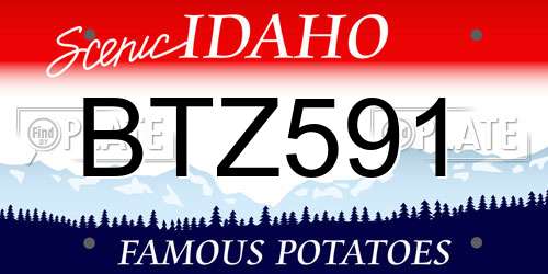 BTZ591 Idaho License Plate