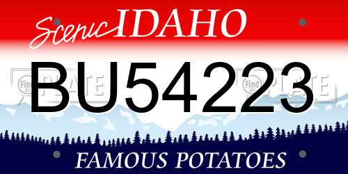 BU54223 Idaho License Plate