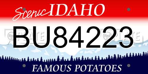 BU84223 Idaho License Plate