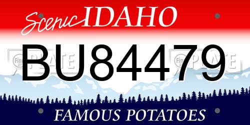 BU84479 Idaho License Plate