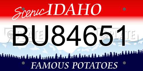 BU84651 Idaho License Plate