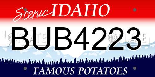 BUB4223 Idaho License Plate