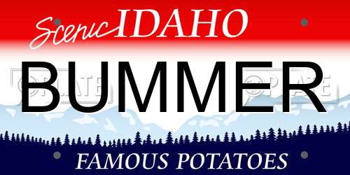BUMMER Idaho License Plate