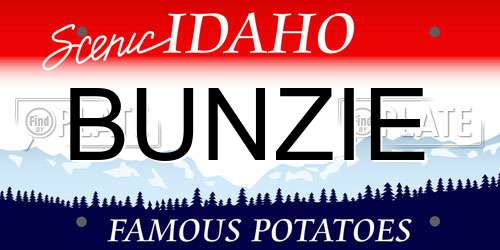 BUNZIE Idaho License Plate