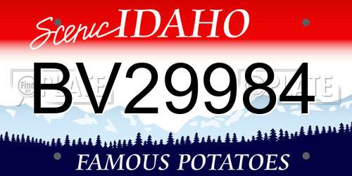 BV29984 Idaho License Plate