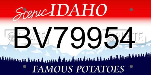 BV79954 Idaho License Plate